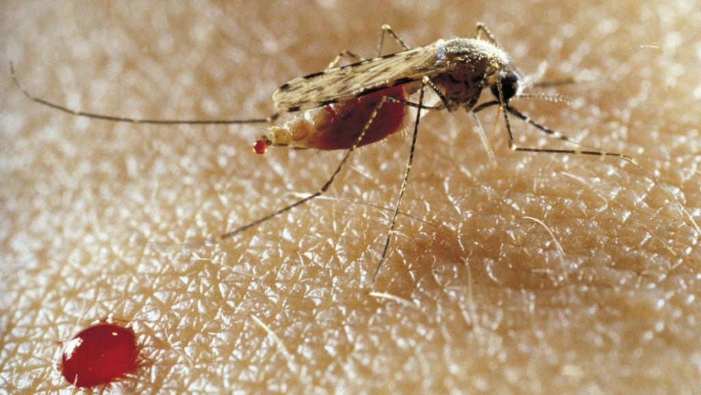 le-burundi-confronte-a-une-flambee-de-paludisme
