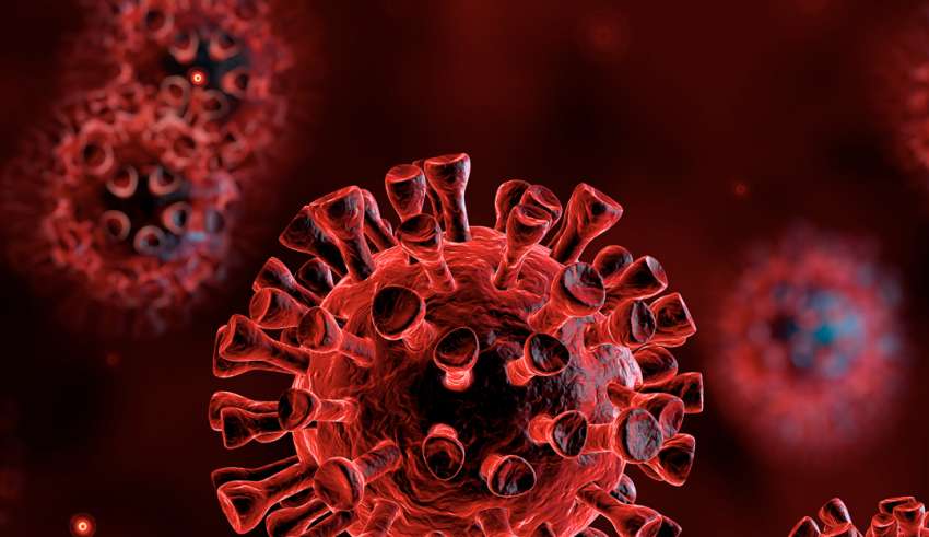 coronavirus-la-cote-divoire-franchit-la-barre-des-200-cas-de-personnes-infectees