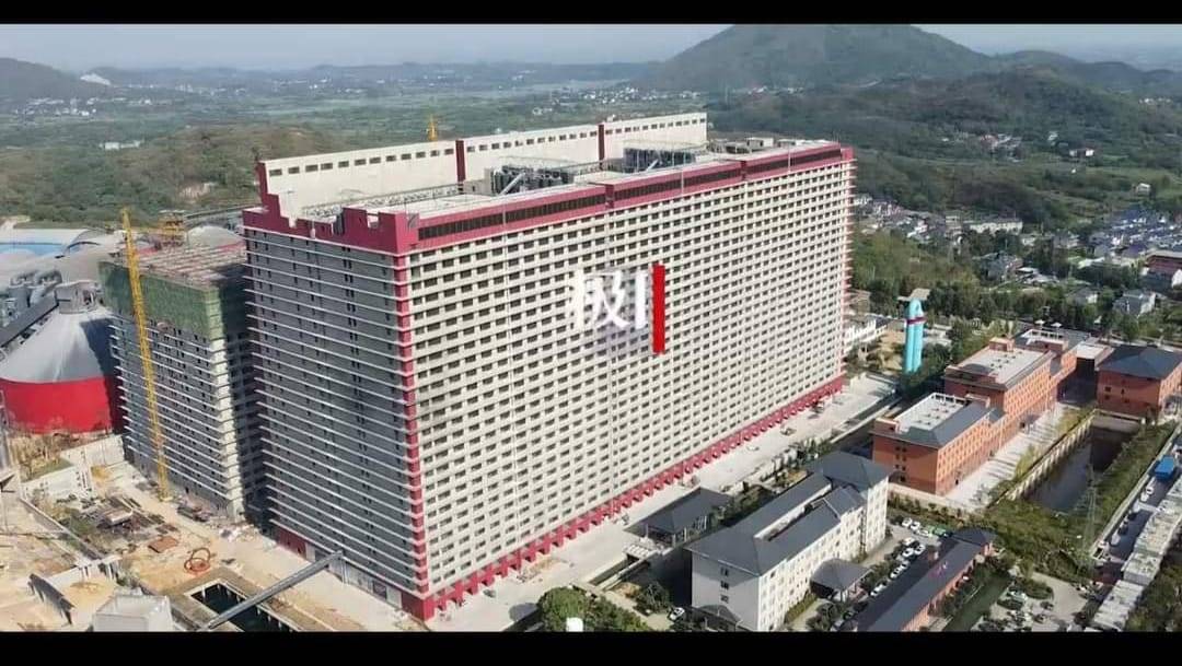 la-chine-inaugure-un-immeuble-de-26-etages-construit-pour-650-mille-cochons
