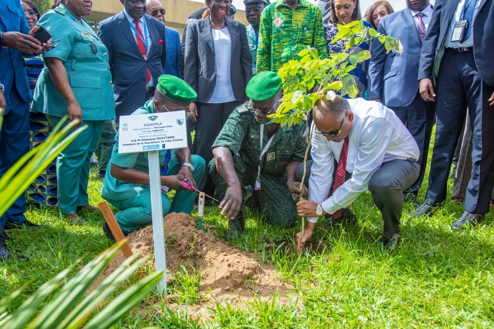 restauration-du-couvert-forestier-ivoirien-le-premier-ministre-patrick-achi-et-une-vingtaine-de-personnalites-plantent-7-essences-locales-darbres