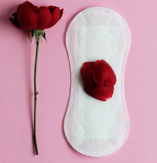precarite-menstruelle-plaidoyer-pour-la-suppression-des-taxes-sur-les-serviettes-hygieniques