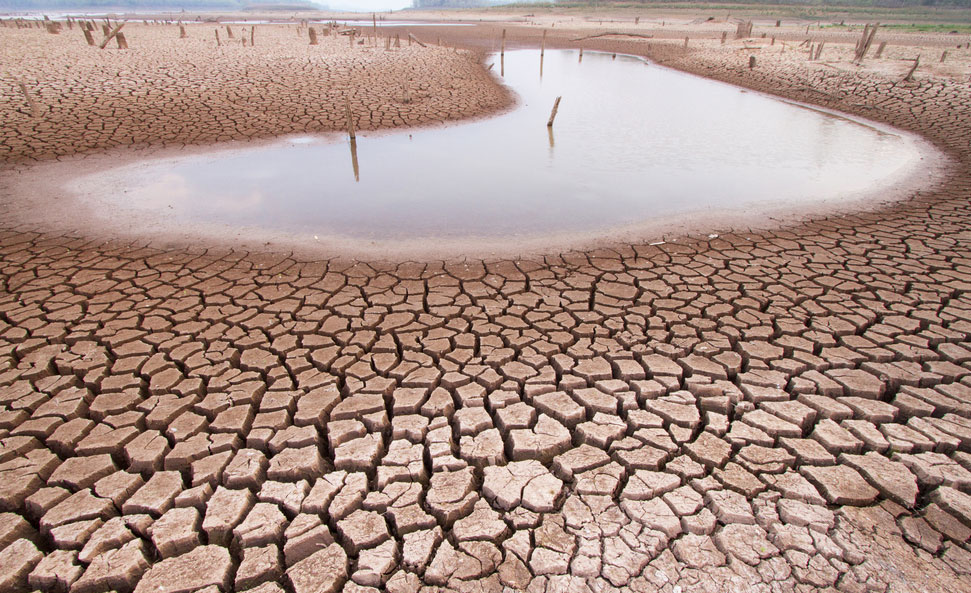 journee-mondiale-de-lutte-contre-la-desertification-les-dirigeants-du-monde-appellent-a-une-action-urgente-pour-renforcer-la-resilience-a-la-secheresse