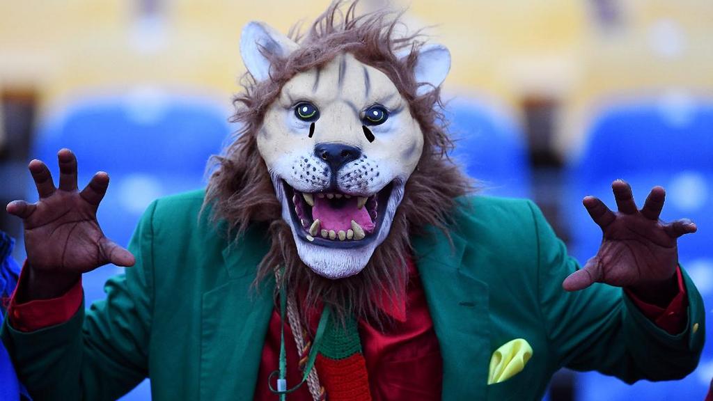 Pourquoi les équipes africaines de football ont des noms d’animaux ?