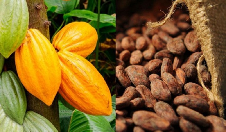 linitiative-cacao-cote-divoire-ghana-sengage-a-developper-conjointement-un-mecanisme-de-prix-durable