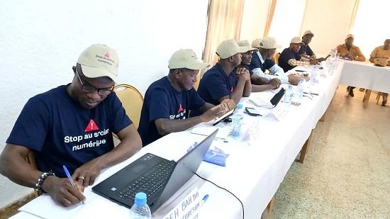 #EnLigneTousResponsables : le ministère de la Communication renforce les capacités des journalistes et acteurs des médias du Guémon et du