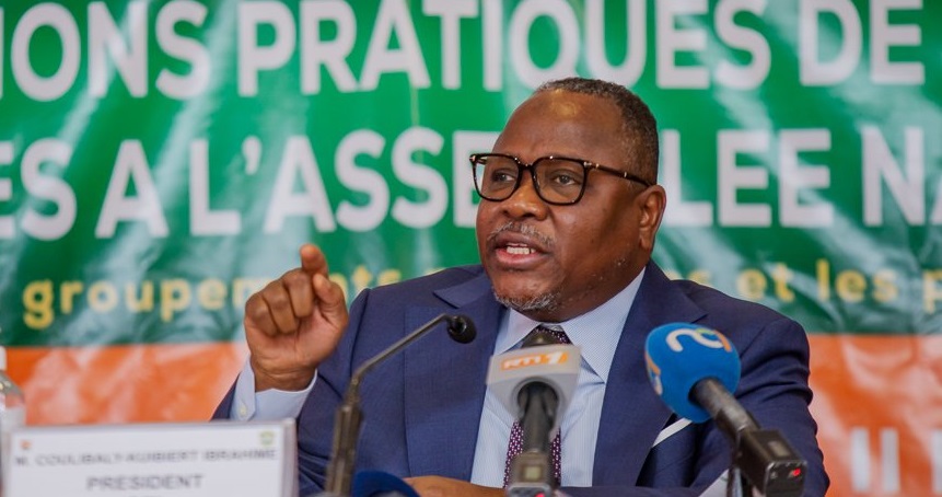 Élections législatives 2025 : le dépôt des candidatures ouvert du 31 octobre au 19 novembre