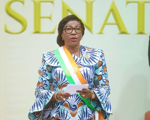 clôture de la première session ordinaire 2026 : kandia camara dresse le bilan à mi-parcours des activités du sénat